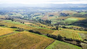 An aerial view of a farm land with crops in the foreground