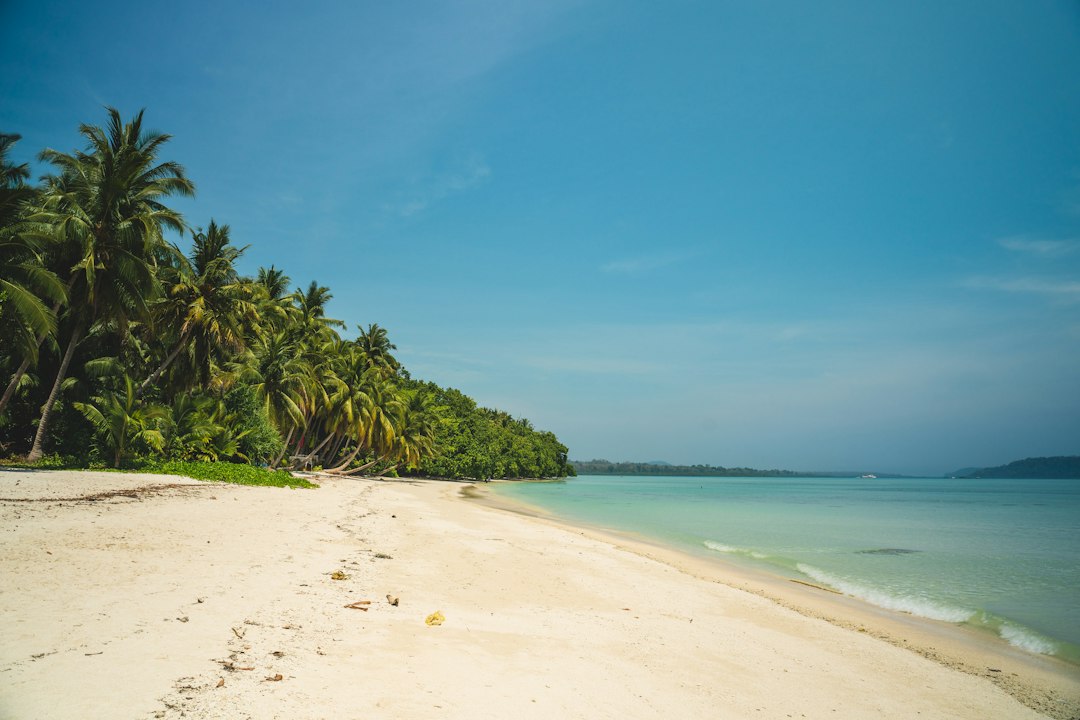 Tropical beach in the Andaman Islands, India