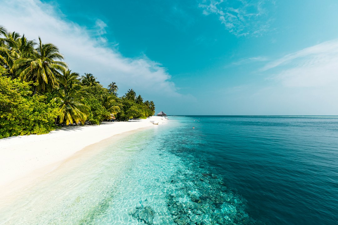 Tropical beach and clear ocean illustrating beach and island travel planning