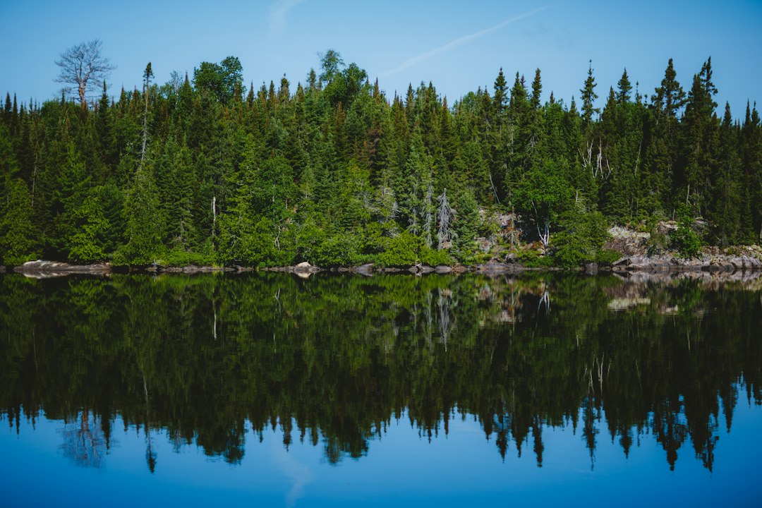 Northern Minnesota lake landscape illustrating family cabin and resort stays