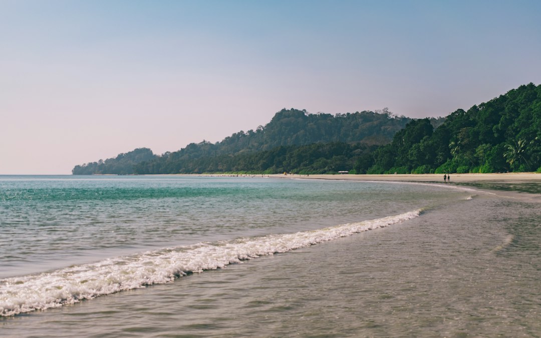 Quiet green coastline in India for a hidden beaches guide